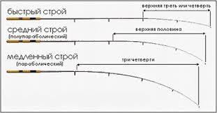 фидер для водохранилища какой выбрать. 58d21a5dd28c140b1837129d. фидер для водохранилища какой выбрать фото. фидер для водохранилища какой выбрать-58d21a5dd28c140b1837129d. картинка фидер для водохранилища какой выбрать. картинка 58d21a5dd28c140b1837129d