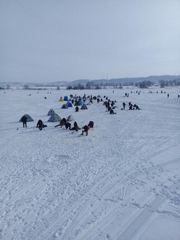 Башклейка что за рыба. 5a967105d28c146741f4bb27. Башклейка что за рыба фото. Башклейка что за рыба-5a967105d28c146741f4bb27. картинка Башклейка что за рыба. картинка 5a967105d28c146741f4bb27.